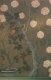 Trompe l'oeil: Wandmalerei im asiatischen Stil
Trompe l´oeil Wandmalerei - Teilansicht einer Wandmalerei im asiatischen Stil mit pflanzlichen und tierischen Motiven für ein Gastronomielokal in Kärnten.