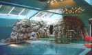 Indoor Swimming Pool with Artificial Rock Landscape